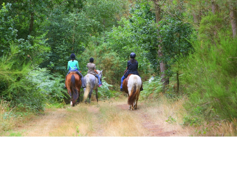balade cheval 17