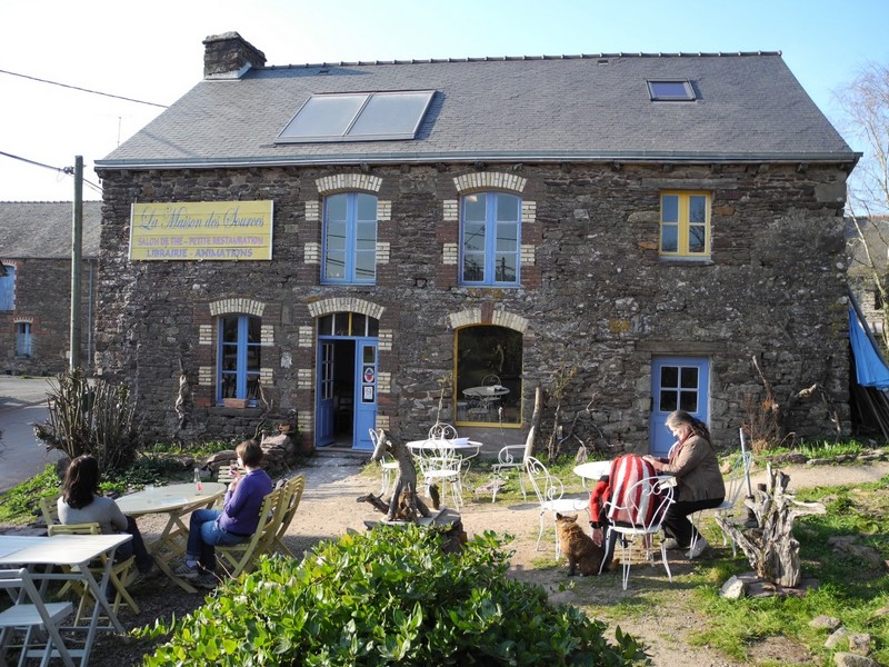 rencontre avec un druide