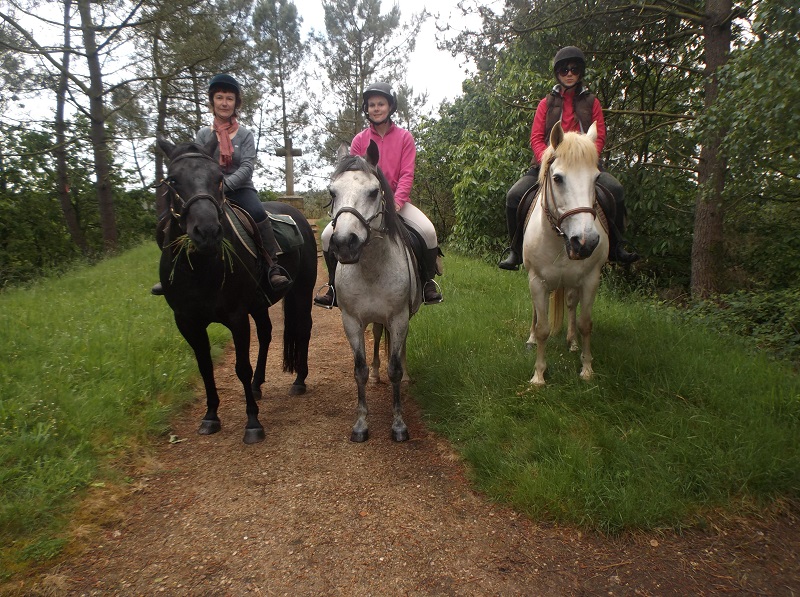 Rencontre equitation