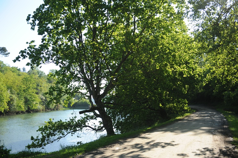 L'Anse du Montmarin