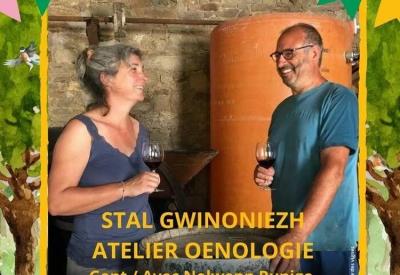 01-17 Atelier oenologie