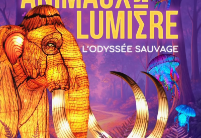 Les animaux de lumière