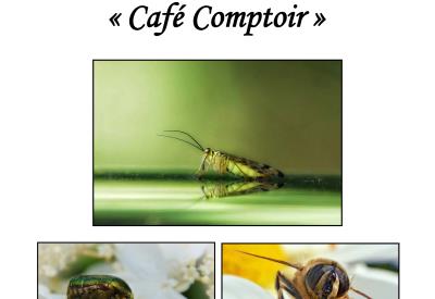 2025-19-CdA-CaféComptoir