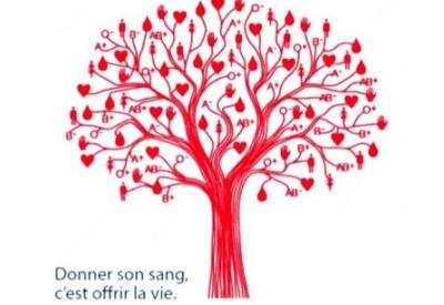 2265-1765743579-642789@1200