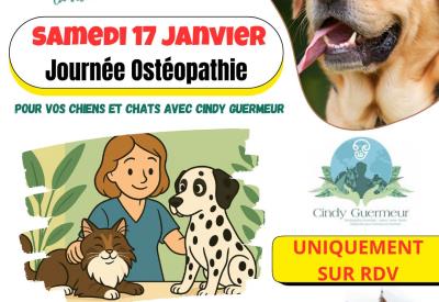 0stéopathie animal