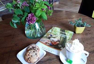 Brocéliande Café Tréhorenteuc