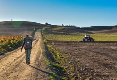 68a5d9c64beda7e798883d40_CDM Compostelle