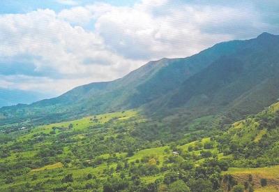 68a5da050fece9a8ee7c20c3_CDM Colombie