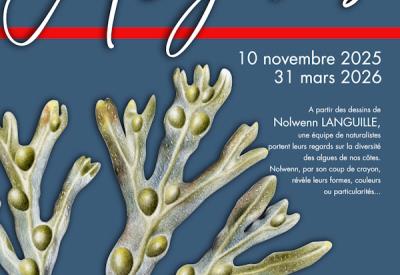 AFFICHE ALGUES - OCTOBRE 2025