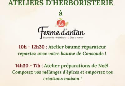Affiche_Ferme_D_antan_Ateliers_14_21_decembre_2025_page-0001