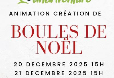 Animation boules de noêl