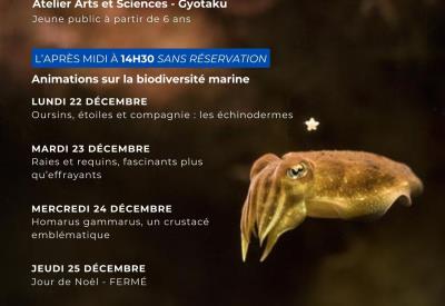 Affiche Programme Évènements Moderne Bleu - 4