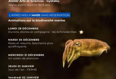 Affiche Programme Évènements Moderne Bleu - 5