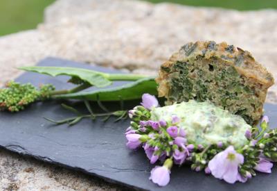 Plantes sauvages et cuisine végétale