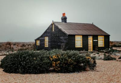 Bois-brule-credit-ZoltanTasi-unsplash-885x520