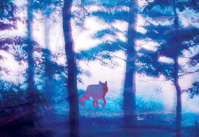 Théâtre participatif