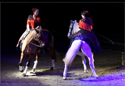 Cabaret équestre Les chevaux dansent à la bodega
