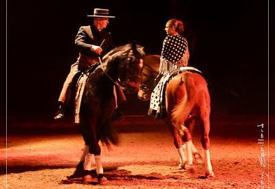 Cabaret équestre Les chevaux dansent à la bodega