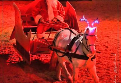 Conte de Noël équestre