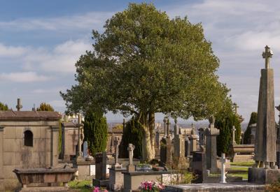 Cimetière Saint-Martin