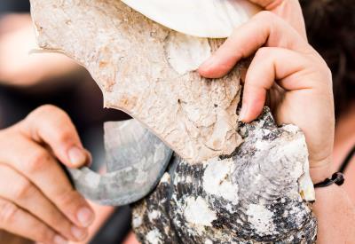 Présentation du travail de la nacre