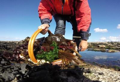 Détente Origin'Algues - @Escapade Glaz