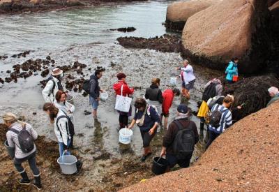 Détente Origin’algues1