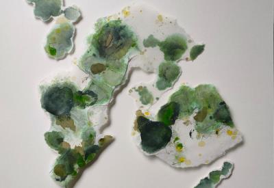 E.W archipel 31.1000