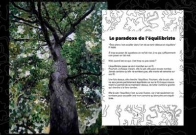 Exposition Bialowieza, la dernière grande forêt sauvage d'Europe - 26 Novembre au 6 décembre 2025 - Médiathèque - Loudéac