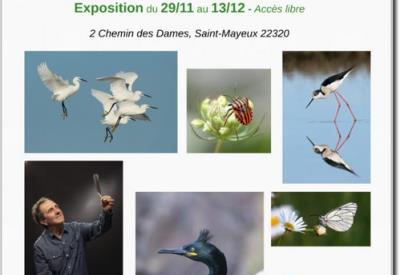 Exposition Yvan Le Breton - Nov Déc 2025 - St Mayeux