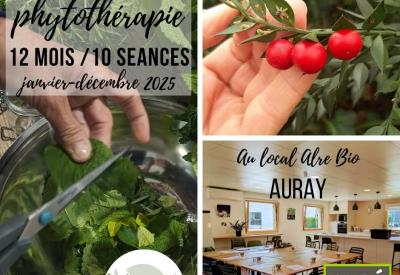 Formation phytothérapie 12 mois - 10 séances à Auray
