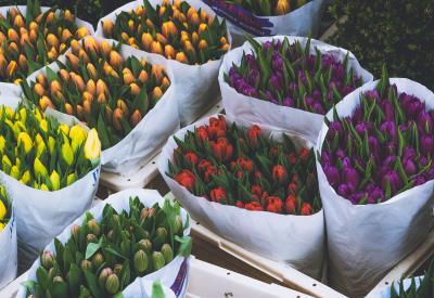 Fleurs©anastasia-zhenina_unsplash