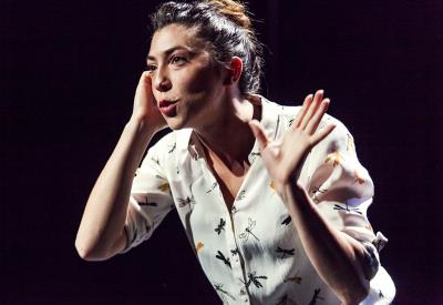 G.R.A.I.N._Josselin_DestinationBrocéliande