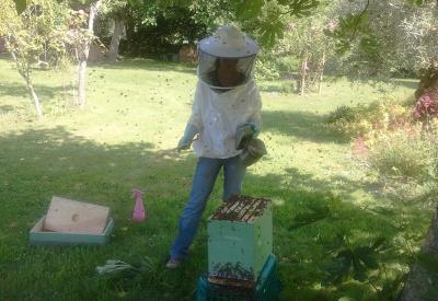 GAS-Lesruchesdarmalia-1