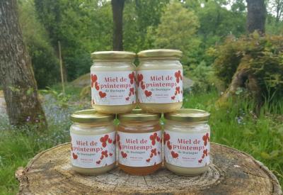 GAS-Lesruchesdarmalia-2