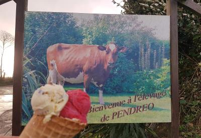 Gaec Pendreo - Plogastel Saint Germain - Pays Bigouden -