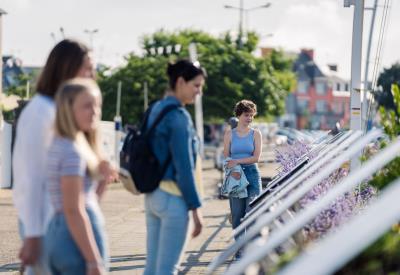 Festival photo - Le Guilvinec - Pays bigouden - Bigoudenjoy