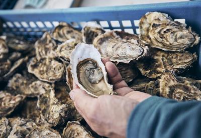 Marché de Sainte-Marine - Combrit - Sainte-Marine - Pays bigouden