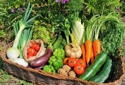 IMG_20210722_115601 (3)