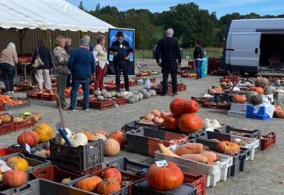  vente de curcubitacés