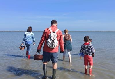 monsieur jean  peche a pied famille