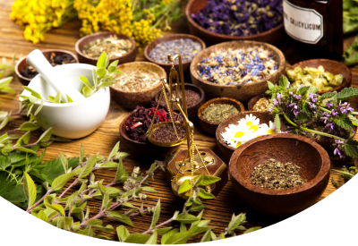 Image - Plantes médicinales (2)