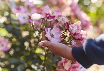 Jardin de Keroguic Baud Vallée du Blavet