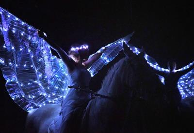 Le royaume des étoiles-Théâtre équestre Bzh