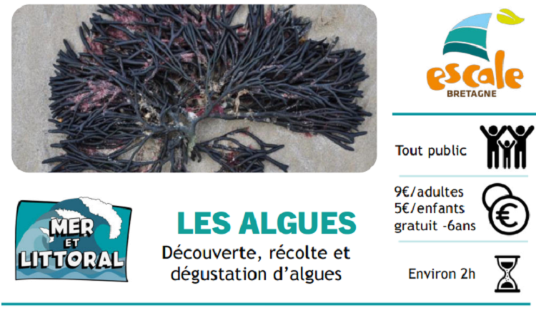 © Escale Bretagne