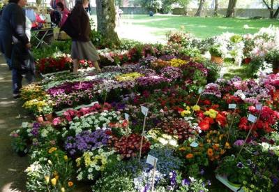 Les floreales 2 ©E.Riou