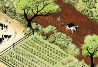 Les pieds dans la terre