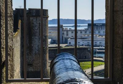 MM Vis jeu canonnniers