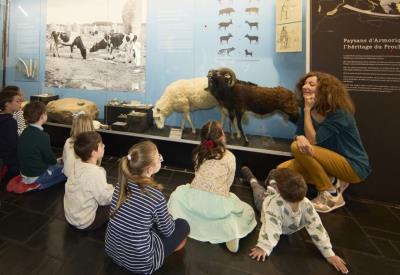 Visite contée à petits pas