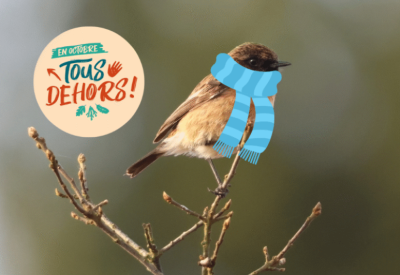 Nichoir à oiseaux Domaine de Menez Meur